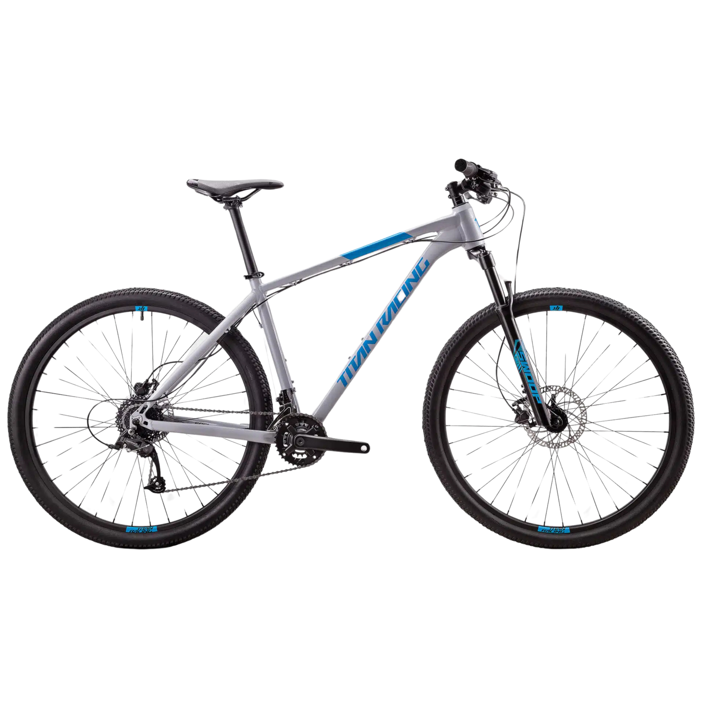 29" Titan Racing Rogue Alpine 2024