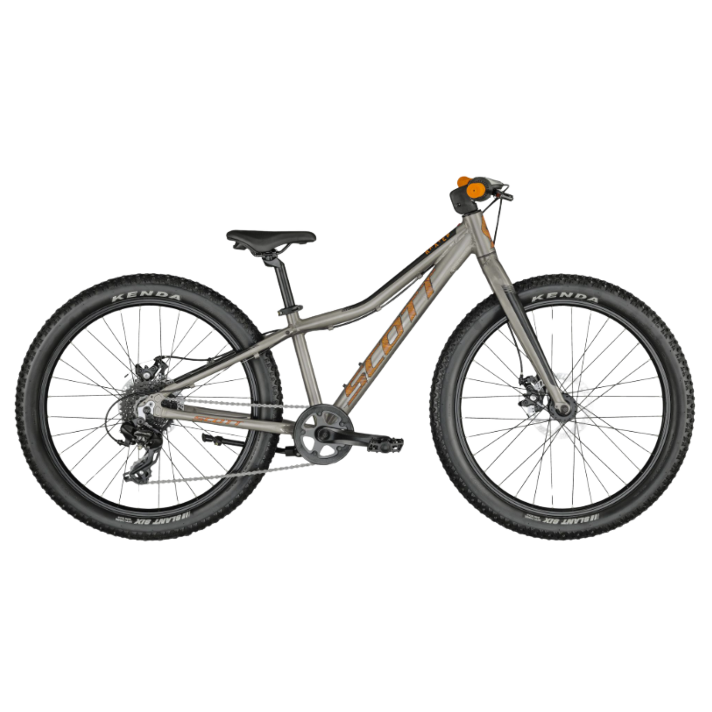24" Scott Roxter