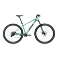 29" Zini Rise