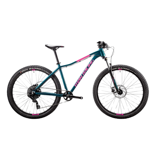 Titan Rogue Calypso Ryde (XS)