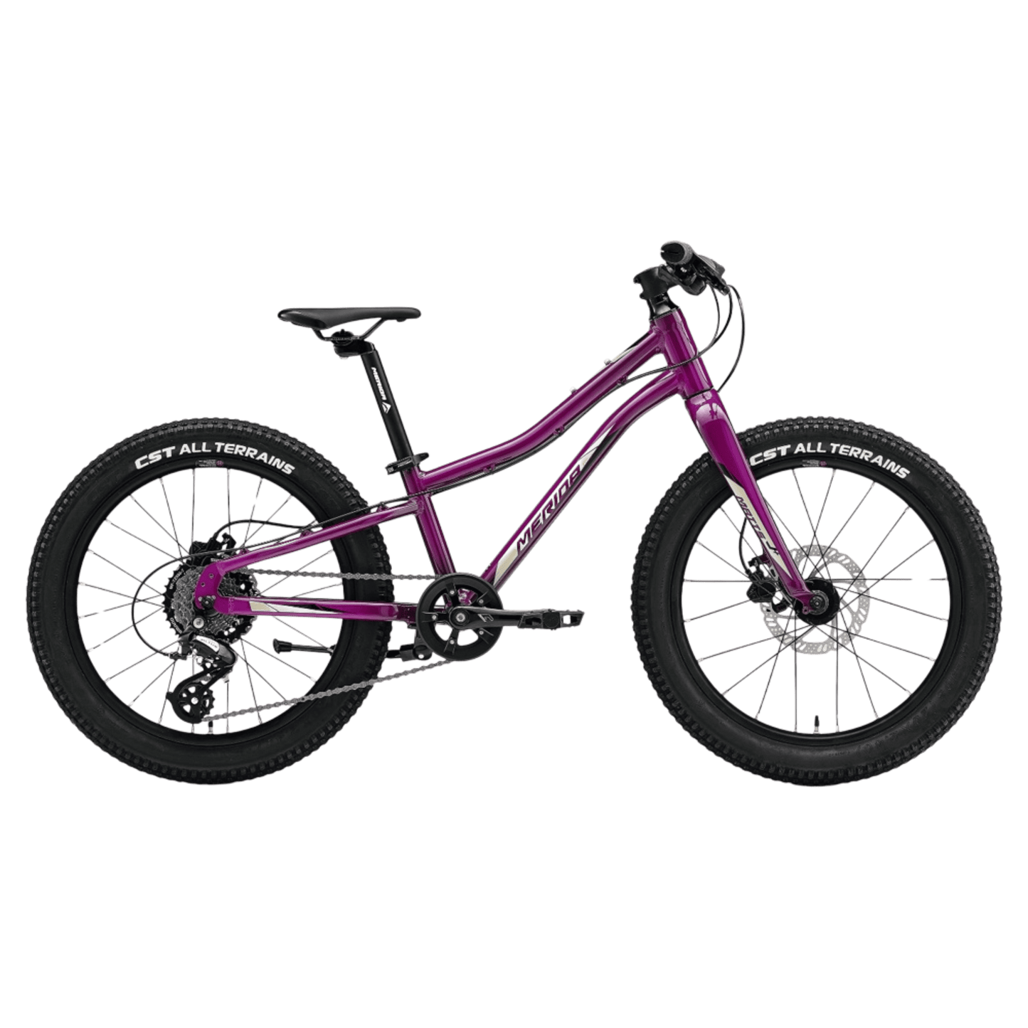 20" Matts jr Purple