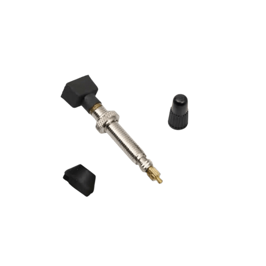 Tubeless Valve